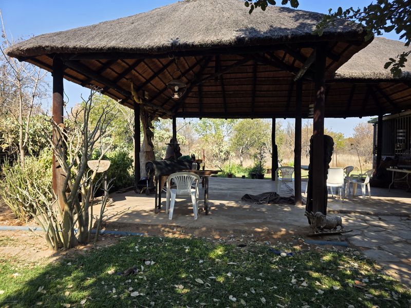 A spacious outdoor thatched-roof patio area featuring timber support posts and a concrete floor, ideal for shaded outdoor entertaining on the farm.