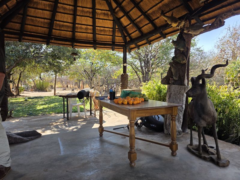 A rustic outdoor thatched-roof patio area providing a shaded space overlooking the surrounding farm landscape.
