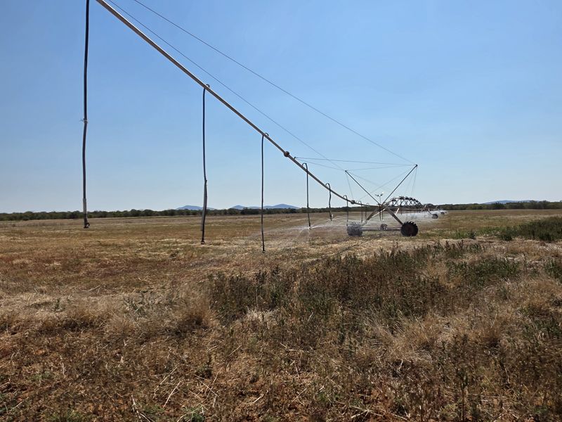 A large agricultural field featuring an active center pivot irrigation system for crop maintenance.