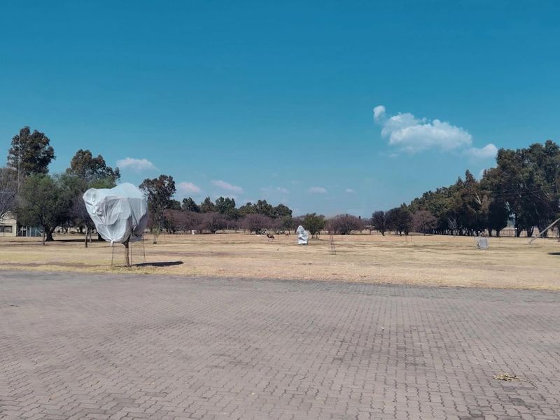 A wide-angle view of the property grounds featuring a paved driveway and expansive open land with mature trees.
