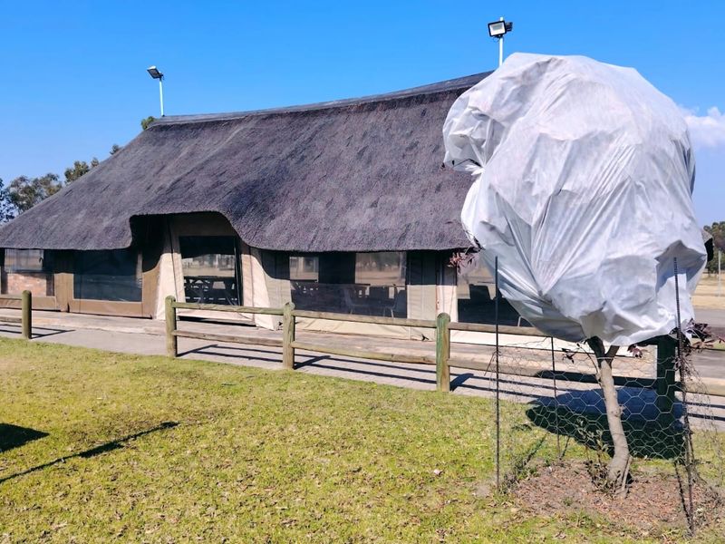 Exterior view of a townhouse featuring a traditional thatch roof, timber fencing, and outdoor floodlighting set within a landscaped garden area.