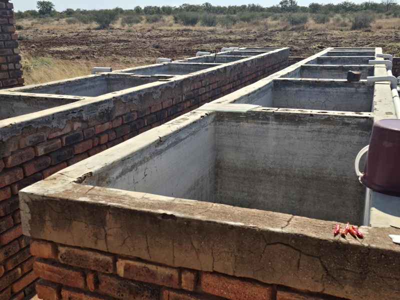 A series of outdoor brick and concrete utility tanks with integrated plumbing, suitable for agricultural or livestock use on the farm property.