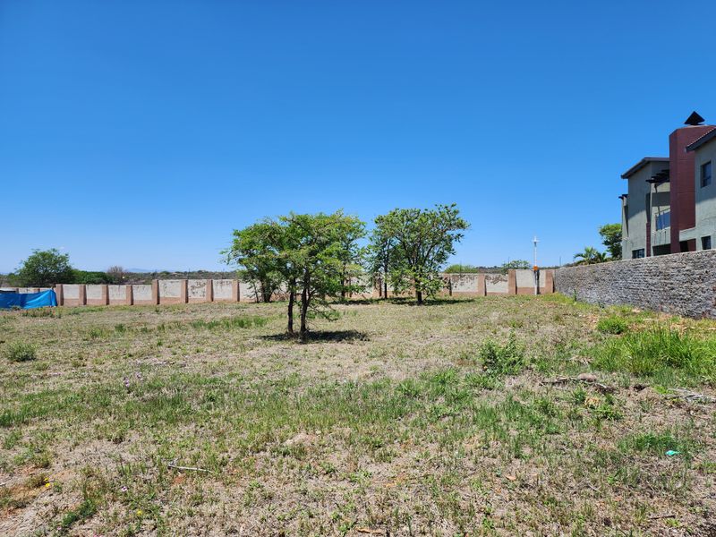 A vacant residential plot featuring mature trees, a perimeter wall with stone cladding, and clear potential for landscaping or development.