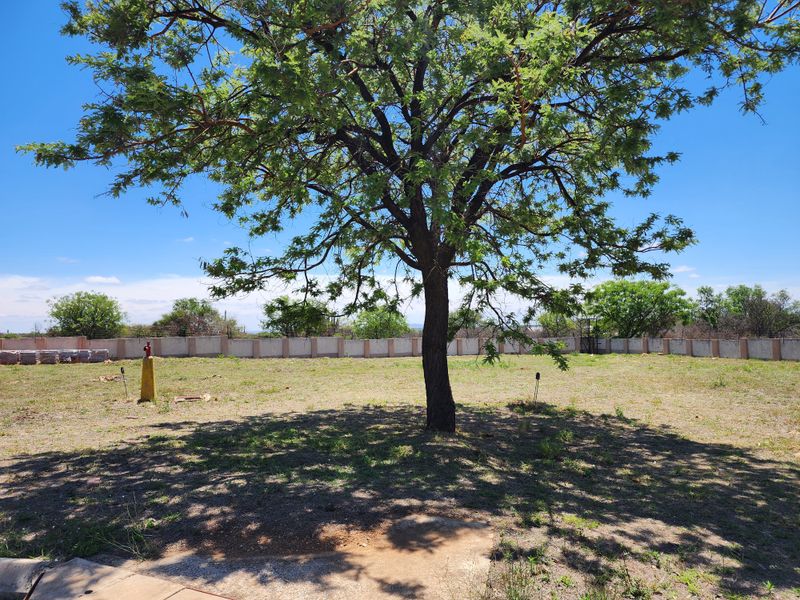 A spacious vacant residential plot featuring a large mature tree and a secure perimeter wall, offering a blank canvas for development.
