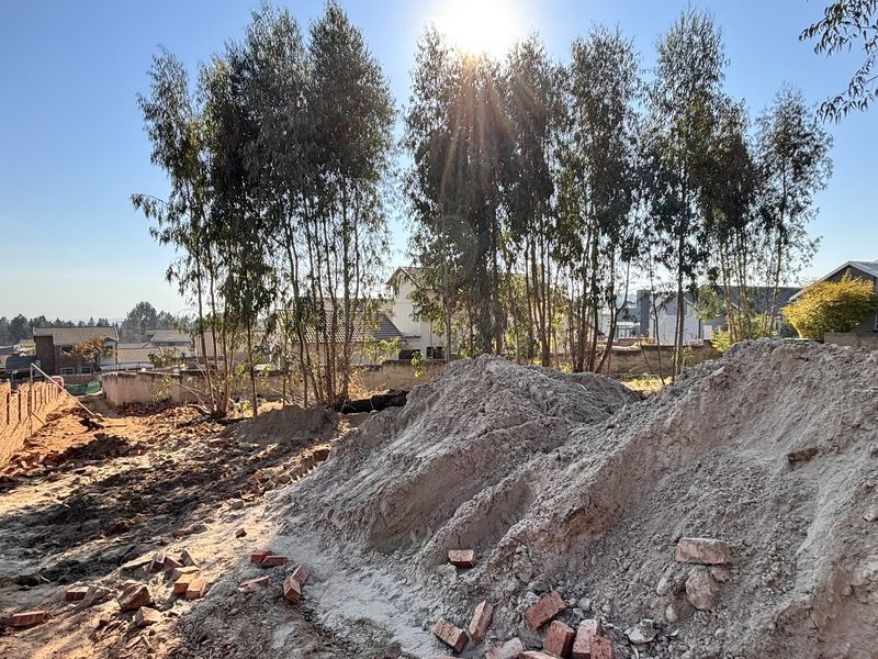 A rear outdoor area currently undergoing site preparation, featuring exposed soil, construction debris, and established trees against a boundary wall.