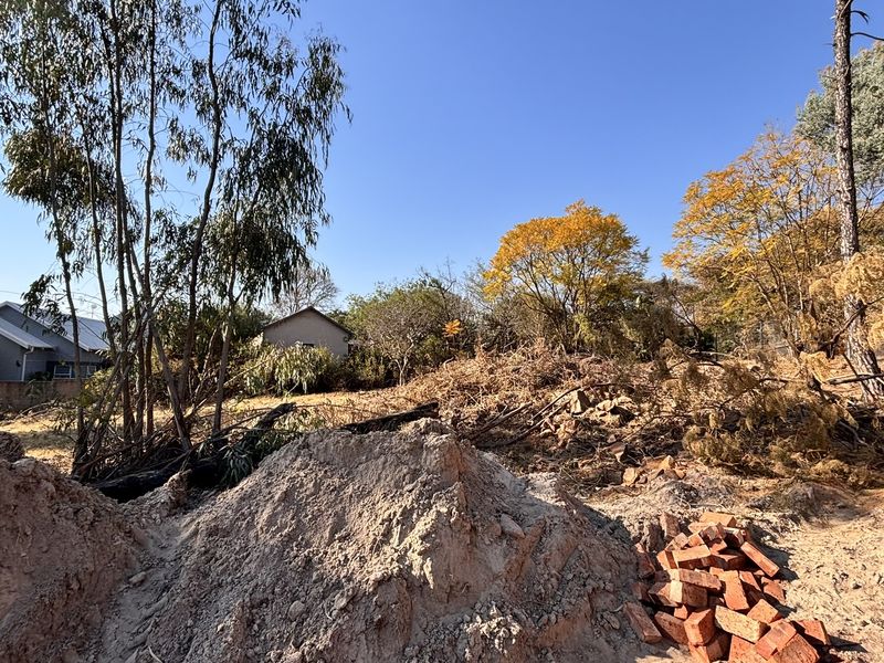 A large, undeveloped garden area featuring mature trees, fencing, and significant ground debris requiring clearing and landscaping.