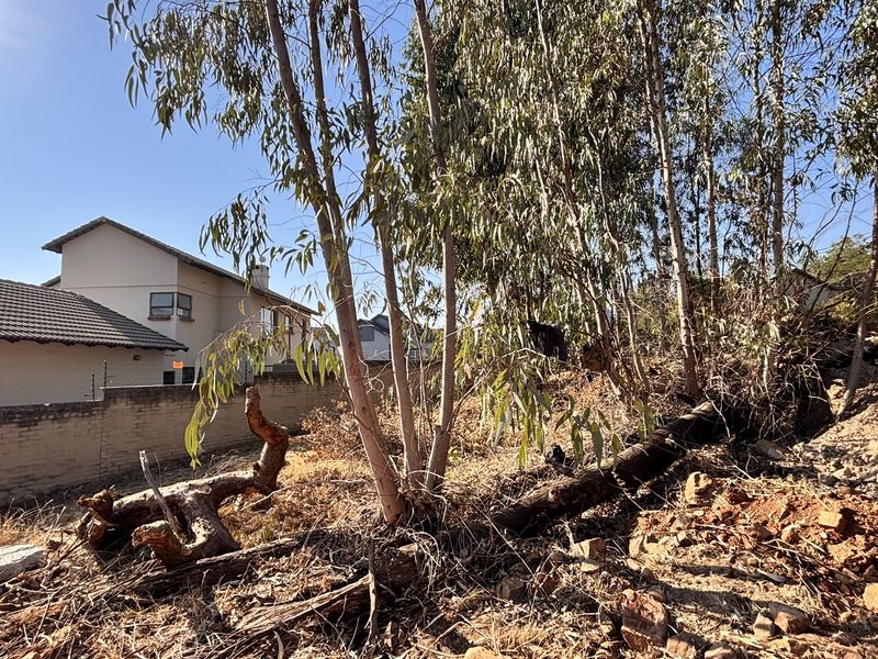 An unmaintained garden area featuring a brick boundary wall with electric fencing, requiring significant clearing and landscaping to reach its full potential.