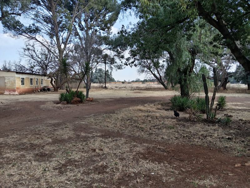 Expansive rural garden area featuring mature trees, natural landscaping, and a view of the adjacent building exterior.