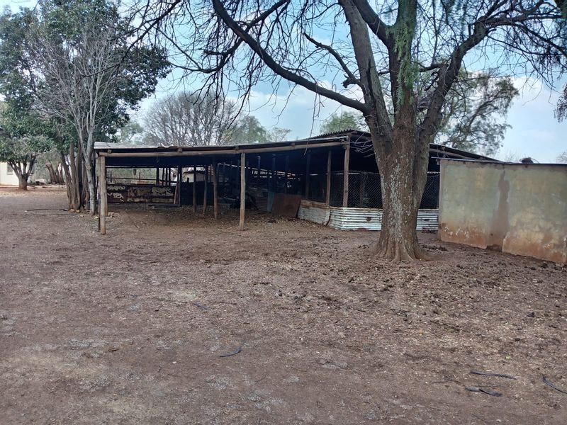 An outdoor utility structure featuring a corrugated iron roof, timber supports, and chain link fencing, situated on an unpaved lot.