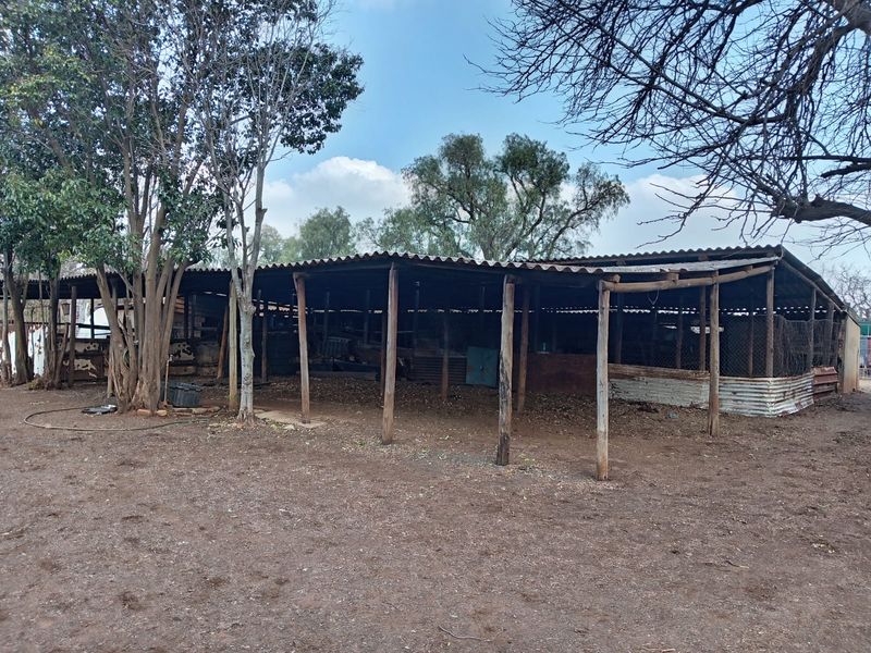 An open-sided utility structure featuring a corrugated iron roof supported by timber posts, suitable for storage or agricultural use.