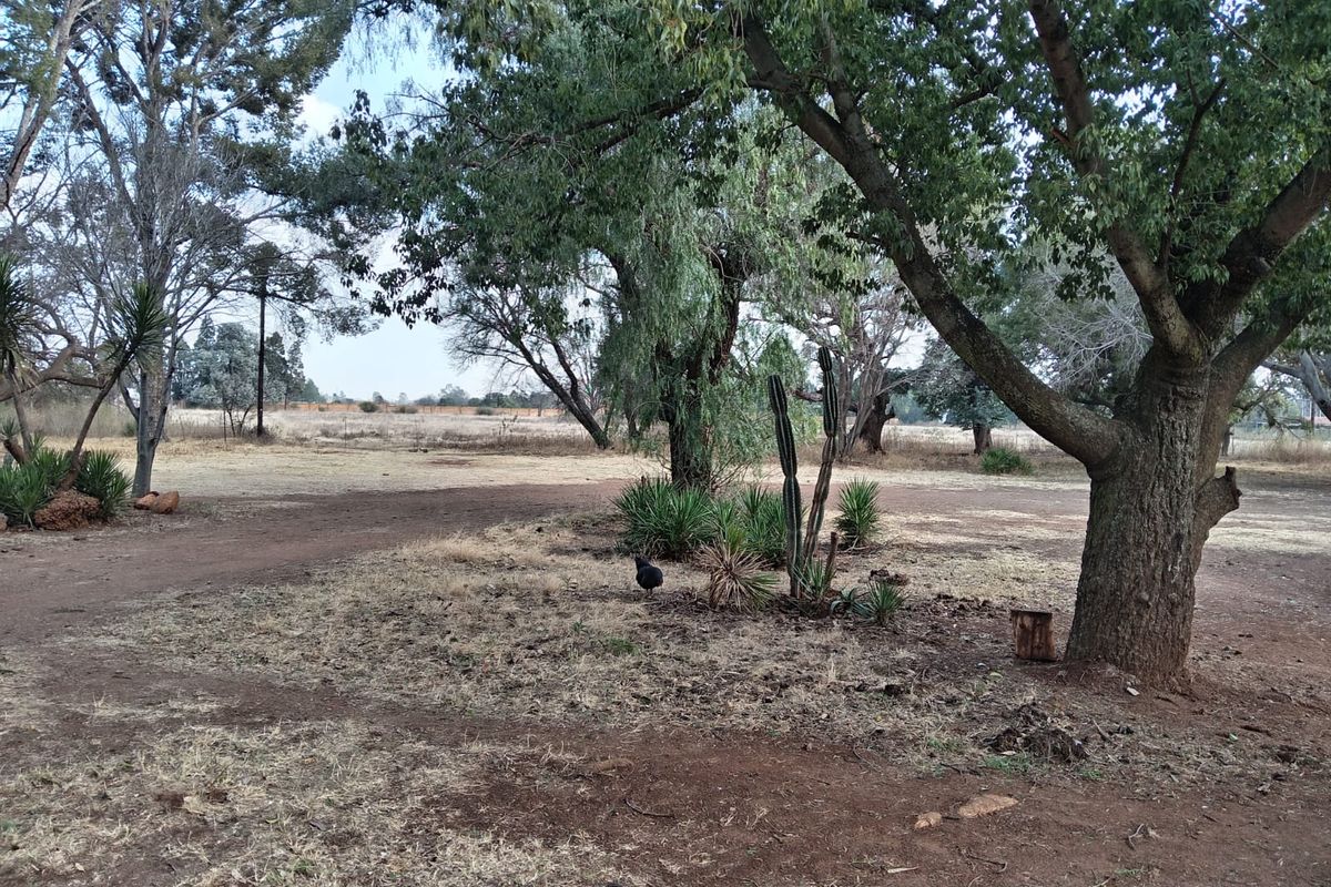 A spacious, natural garden area featuring mature trees and established landscaping, offering a quiet and expansive outdoor setting.