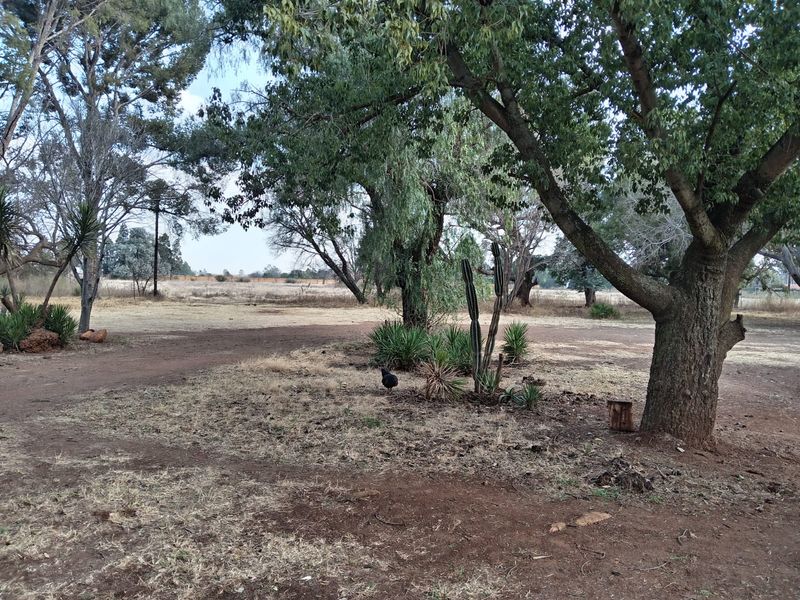 A spacious, natural garden area featuring mature trees and established landscaping, offering a quiet and expansive outdoor setting.