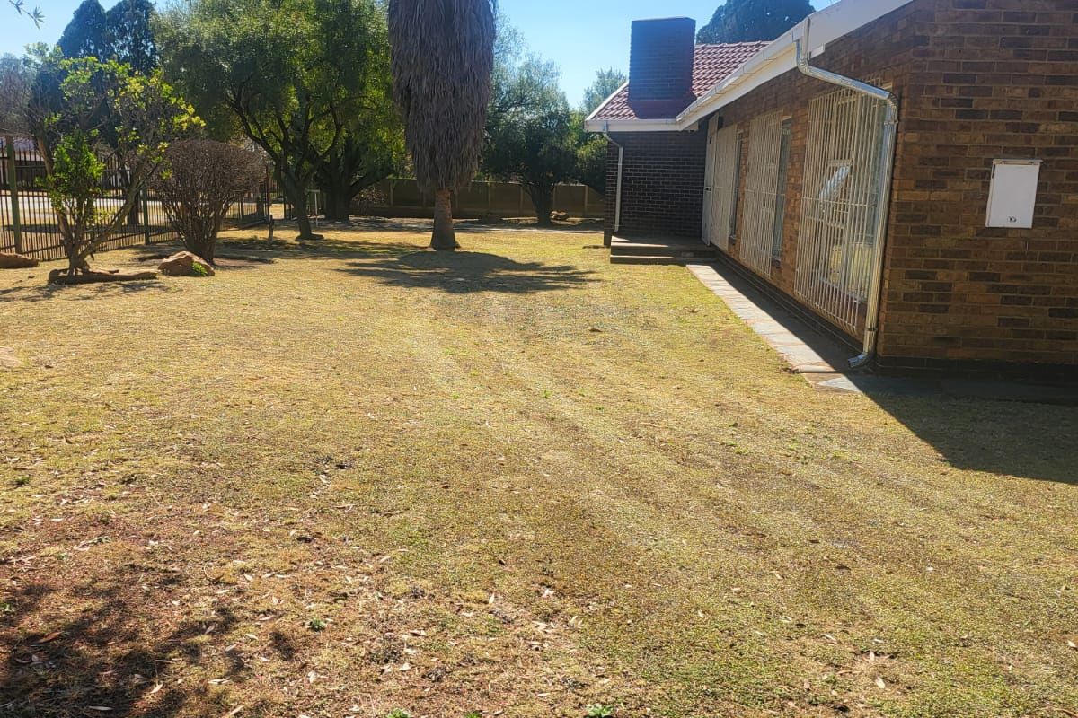 A view of the rear garden and brick exterior of the house, featuring a tiled roof, security bars on windows, and a large palm tree.