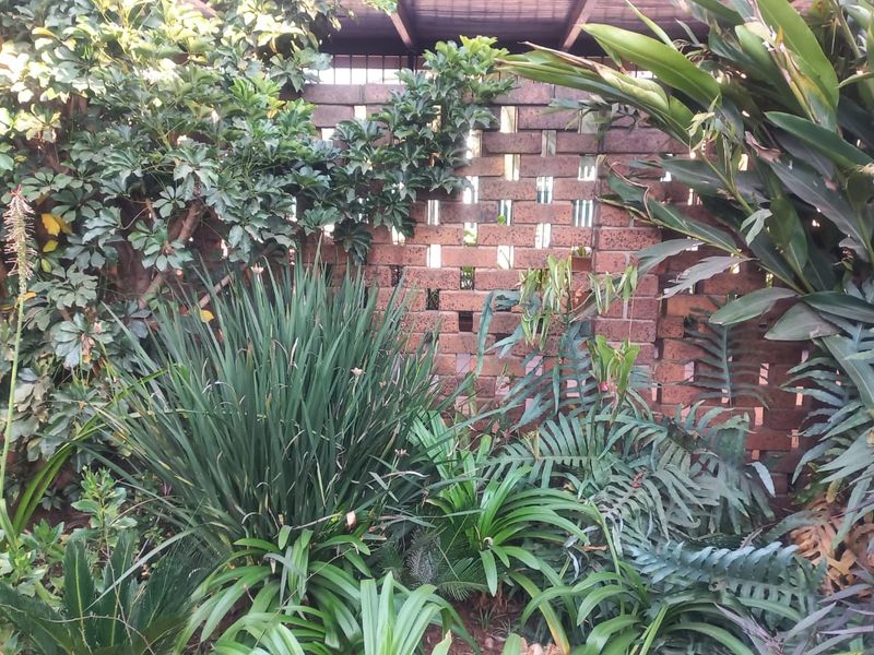 A lush garden area featuring a decorative brick screen wall and overhead pergola structure, providing a private and green outdoor setting.