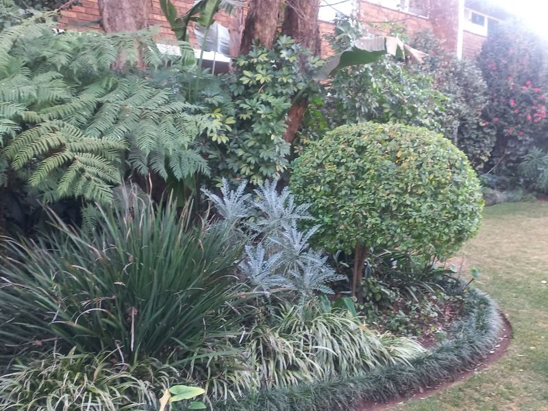 A well-established garden area featuring mature shrubs, ferns, and manicured garden beds set against a brick building facade.