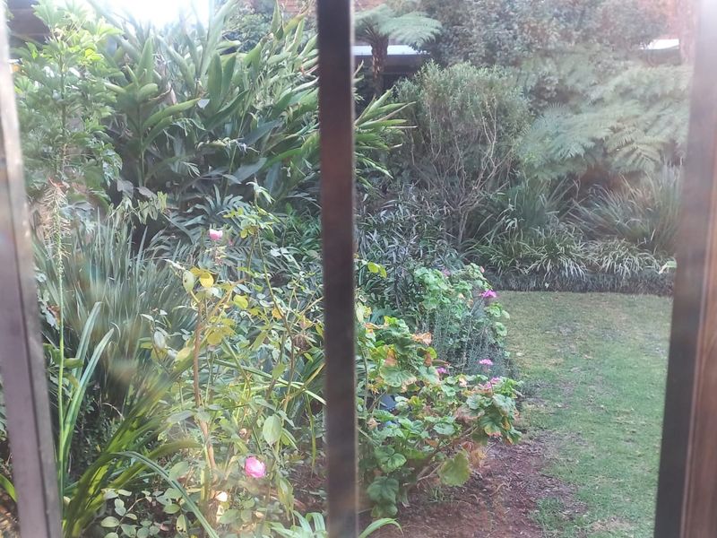A view of a lush, well-established private garden featuring mature shrubs, flowering plants, and a maintained lawn area.