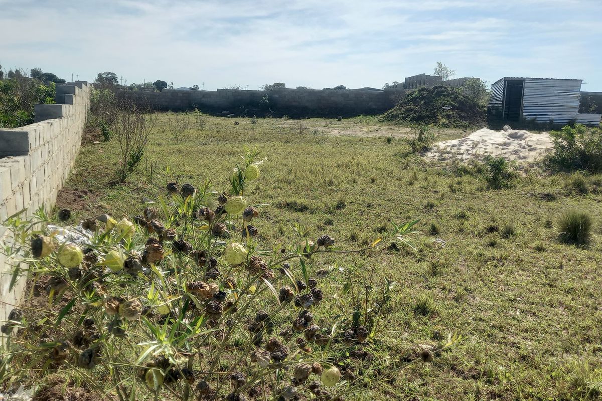 A vacant residential plot featuring a perimeter boundary wall and a small corrugated metal storage shed on the property.
