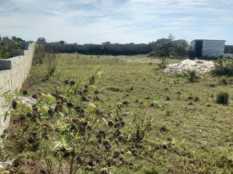 A vacant residential plot featuring a perimeter boundary wall and a small corrugated metal storage shed on the property.