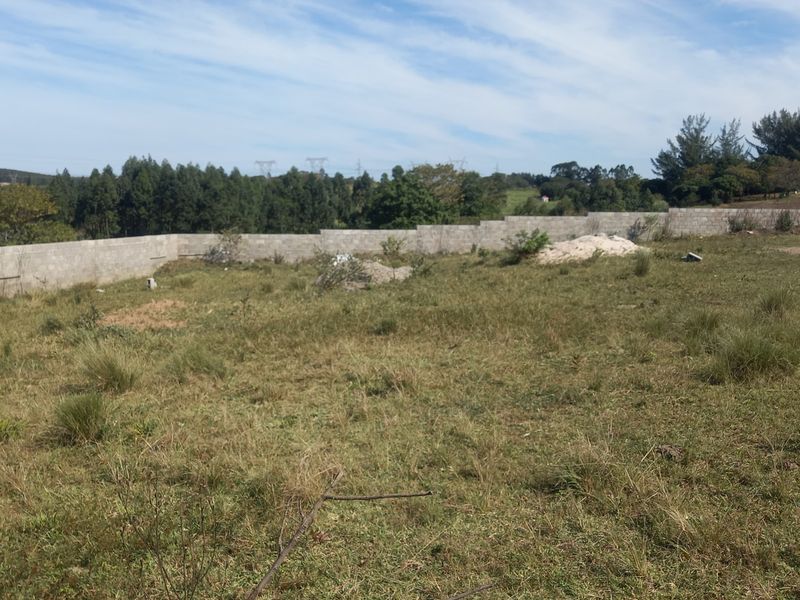 A vacant residential plot featuring natural grass terrain and a concrete block perimeter wall, offering a clear space for future development.