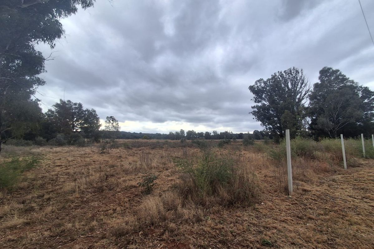 A wide-angle view of a vacant residential plot featuring natural vegetation and established concrete fence posts along the boundary.