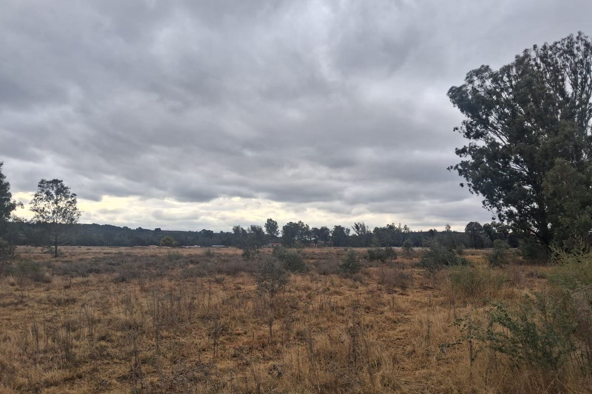 A wide-angle view of the vacant residential land featuring natural landscape, native vegetation, and mature trees under an overcast sky.