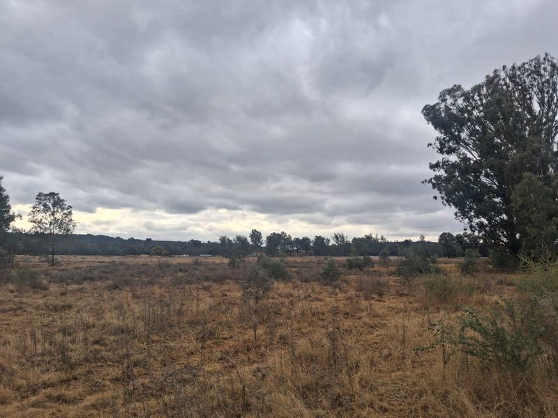 A wide-angle view of the vacant residential land featuring natural landscape, native vegetation, and mature trees under an overcast sky.