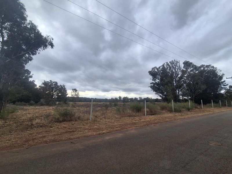 A street-level view of a vacant residential plot featuring established trees, concrete boundary posts, and adjacent asphalt road access.