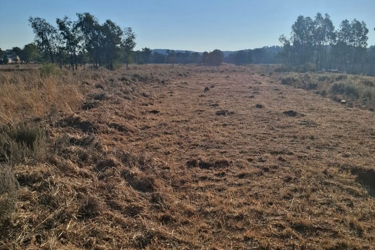 A wide, open residential plot featuring cleared dry grass and mature trees, offering a blank canvas for future development.