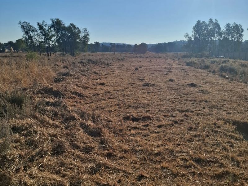 A wide, open residential plot featuring cleared dry grass and mature trees, offering a blank canvas for future development.