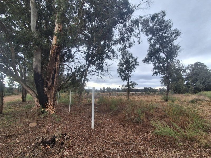 A view of a vacant residential plot featuring mature trees and partial boundary fencing, offering a natural setting for potential development.