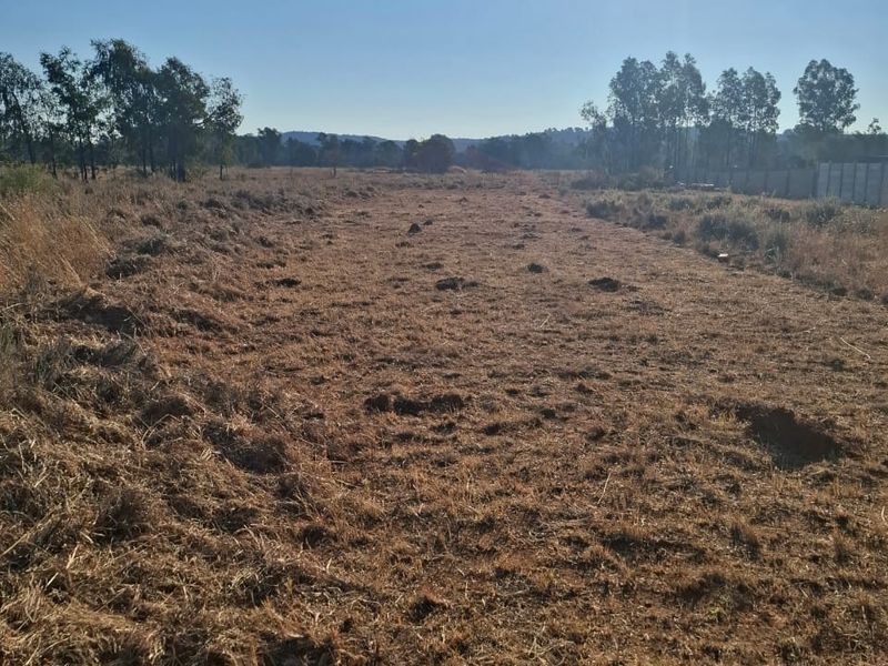 A wide, open plot of vacant residential land featuring dry grass and mature trees under a clear sky.