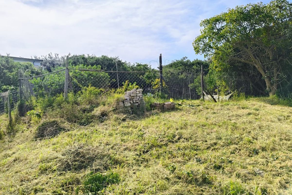 A view of a vacant residential plot featuring overgrown grass, mature trees, and perimeter chain-link fencing with barbed wire.