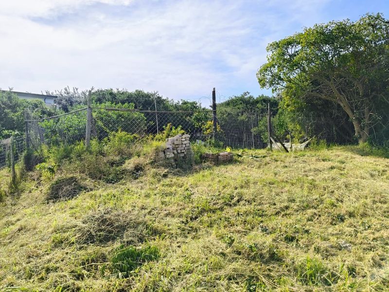 A view of a vacant residential plot featuring overgrown grass, mature trees, and perimeter chain-link fencing with barbed wire.