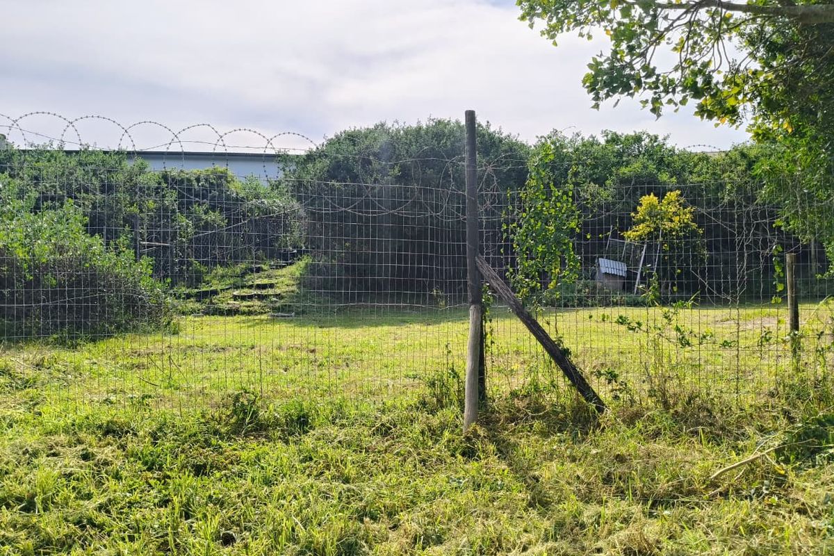 A view of a residential plot featuring wire mesh fencing with razor wire and established perimeter shrubbery.