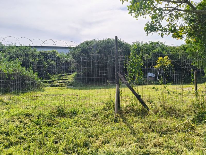A view of a residential plot featuring wire mesh fencing with razor wire and established perimeter shrubbery.