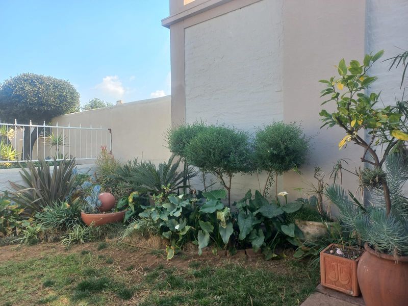 A well-maintained garden area featuring established landscaping, a boundary wall, and metal security fencing along the perimeter.