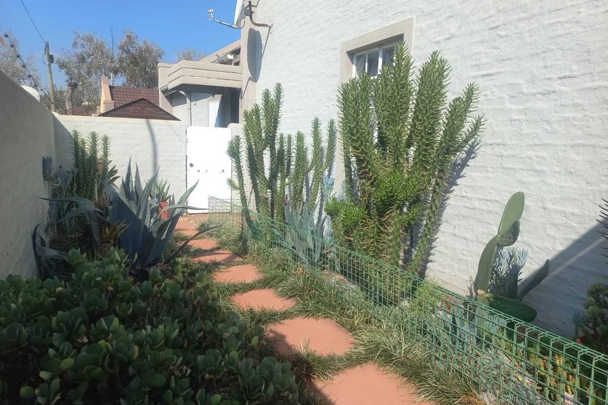 A side garden pathway featuring paved stepping stones, established succulent landscaping, and a secure boundary wall with a gate.