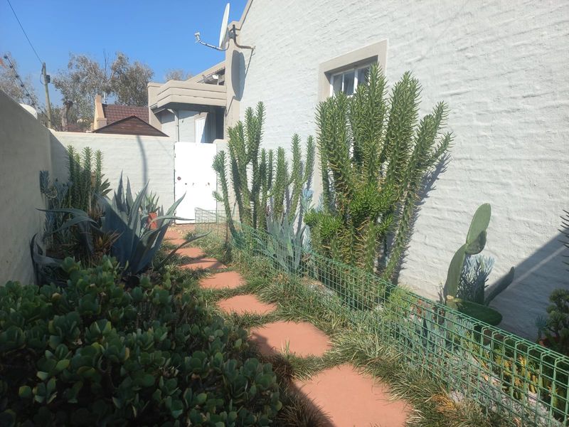 A side garden pathway featuring paved stepping stones, established succulent landscaping, and a secure boundary wall with a gate.