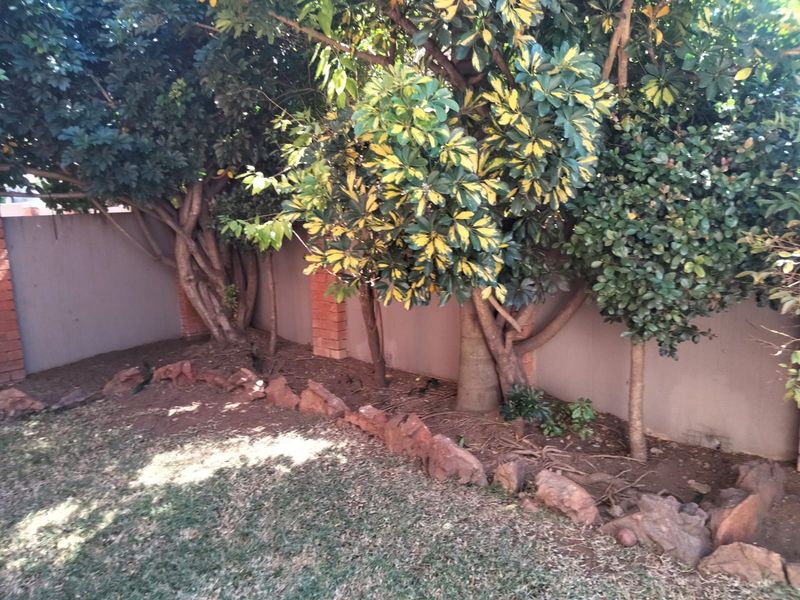 A private garden area featuring mature trees and a brick boundary wall with natural rock edging.