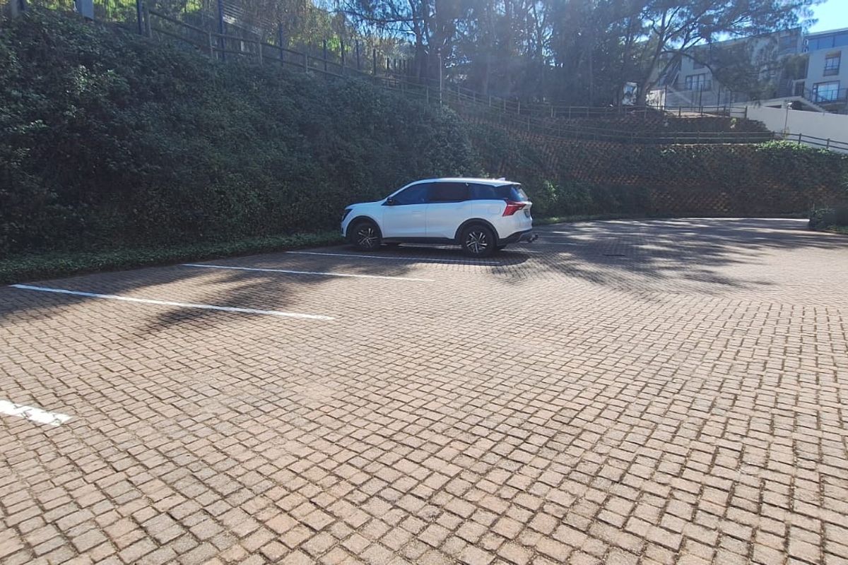 A paved outdoor parking area featuring marked bays and a landscaped retaining wall embankment.