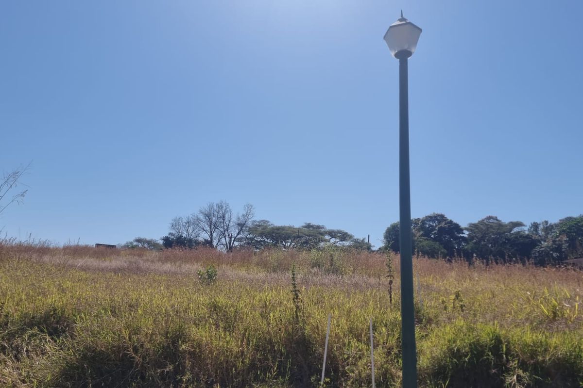 A vacant residential plot featuring natural grass coverage and a single installed street lamp.
