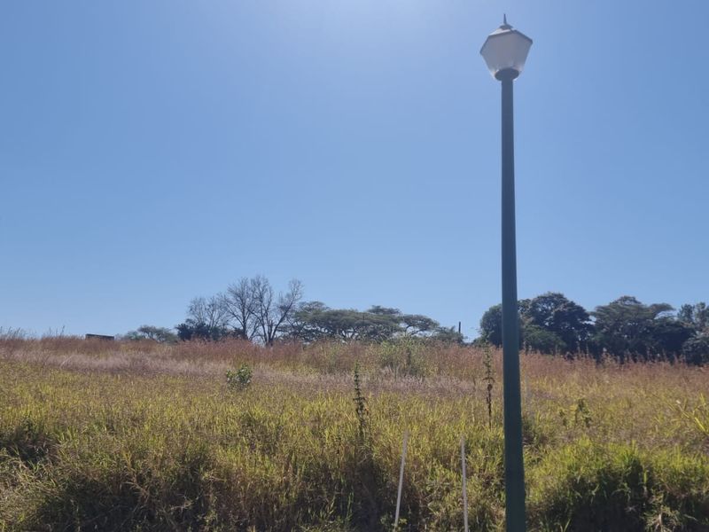 A vacant residential plot featuring natural grass coverage and a single installed street lamp.