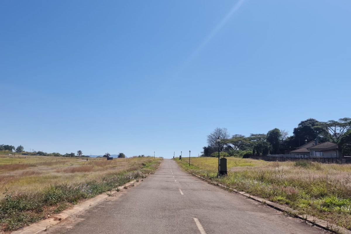 A view of an asphalt access road leading through a vacant residential land plot with surrounding natural landscape.