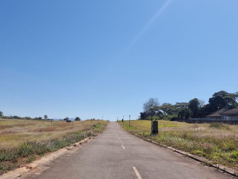 A view of an asphalt access road leading through a vacant residential land plot with surrounding natural landscape.
