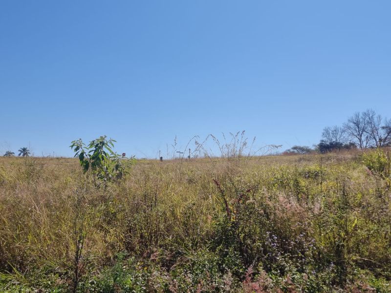 A view of an undeveloped residential plot featuring natural vegetation and open space under a clear blue sky.