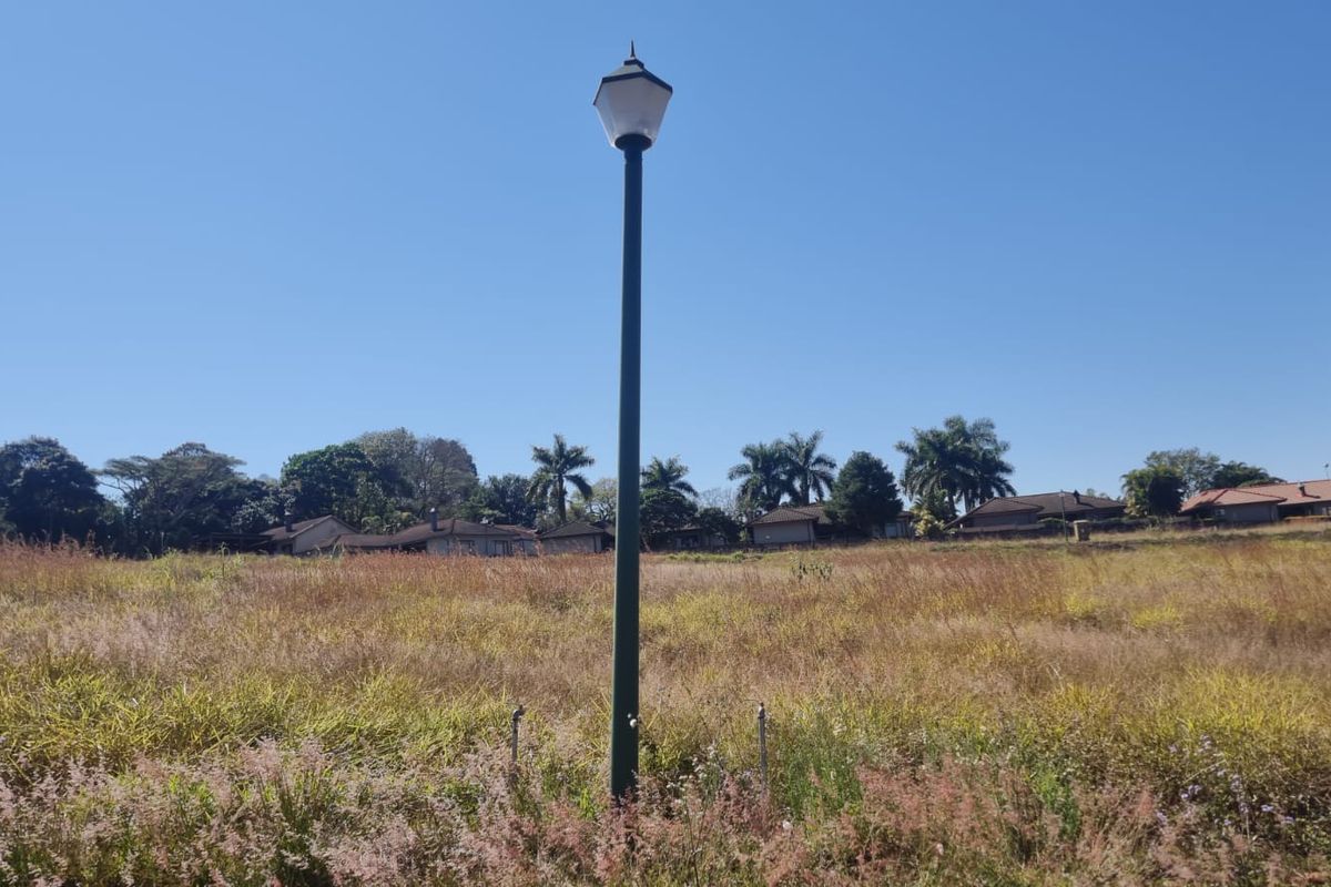 A vacant residential plot featuring natural grassland and a single standing street lamp under a clear blue sky.