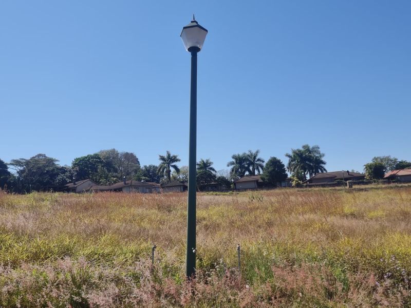 A vacant residential plot featuring natural grassland and a single standing street lamp under a clear blue sky.