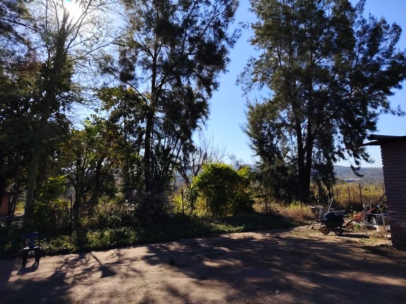 A view of the farm garden area featuring mature trees, wire fencing, and a dirt driveway under a clear blue sky.