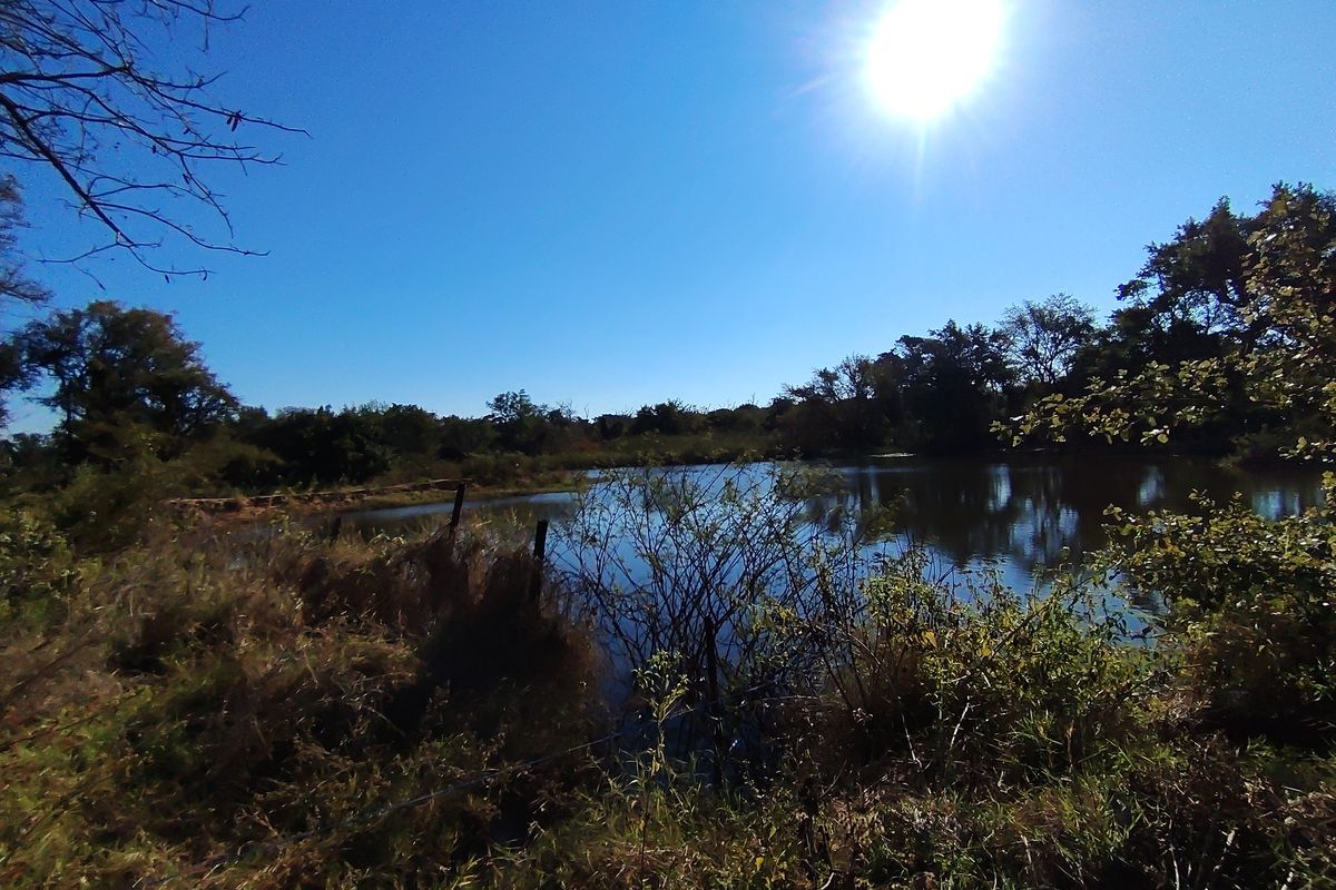 A scenic view of a natural farm dam surrounded by indigenous vegetation and trees under a clear blue sky.