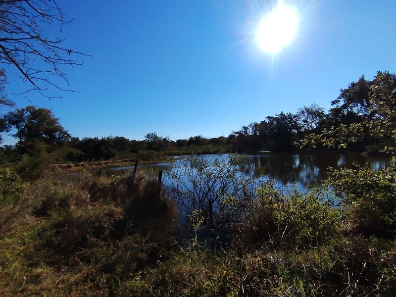 A scenic view of a natural farm dam surrounded by indigenous vegetation and trees under a clear blue sky.